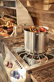Napoleon Stainless Steel Built-in 700 Series Power Burner (BIB18PBPSS), Propane