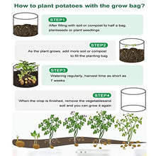 BBYYDS Plant Grow Bags Garden Fabric Vegetable Pot Living Bag Plants Nursery Root Container