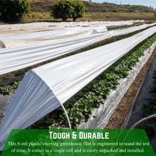Farm Plastic Supply White Greenhouse Plastic Sheeting 6 mil 25' x 150' UV Resistant