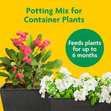 Miracle-Gro 10 Pack Potting Soil Mix for Container Plants and Flowers
