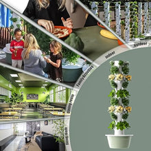 KONGQIAA 5/7/9-Tier Vertical Hydroponic Growing System - Space Saving Indoor Herb Garden Kit for 20-36 Plants, Soilless Aeroponic Tower for Lettuce, Basil, Strawberries Black 7-Layer Grower