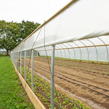 Vapor Barrier Supply -Clear IRAC Greenhouse Plastic Sheeting - 6 Mil - 4 Year UV Resistant Infrared Anti-Condensate Green House Covering Thermal Greenhouse Plastic 6 mil (50' x 50')