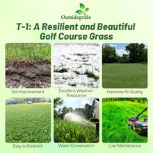 Outsidepride T-1 Creeping Bentgrass Seed - 25 lbs Fine-Bladed, Premium Quality Turf, Grass Seed for Smooth Surface, & High-Traffic Areas, Ideal Grass for Golf Courses Putting Greens, & Fairways