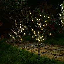 LIGHTSHARE 24PCS Twins 32IN Lighted Willow Branch with 120 Mini LED Pathway Lights for Christmas Room Decoration Indoor Apartment Outdoor Sticks Lights for Lawn, Brown