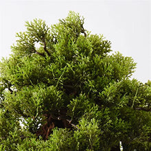 CLoxks Artificial Bonsai 24Inch Artificial Bonsai Welcoming Pine Tree, Simulation Potted Plant Decorative Bonsai with Ceramic Pots, Office, Shop Decorative Gifts for Home Office