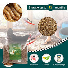 WORKPOINT 44LBS Dried Mealworms for Chickens, 100% Natural Premium Quality Non-GMO, Treats for Poultry, Chickens, Ducks and Geese