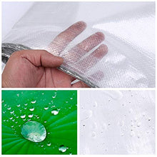 ALGFree-Shade Tarpaulin Transparent Tarp Sheet Greenhouse Plastic Sheet PVC Tarp Cover for Garden Terrace Plant Shed Canopy Cover with Eyelets Thickness 0.5mm (Color : White, Size : 20x20m)