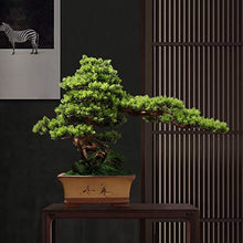 Simulation Welcoming Pine Bonsai Plant Ornament Ceramic Flowerpot Faux Plants for Office Restaurant Home Decoration 19.7" H House Plant