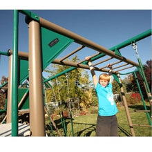 Lifetime Double Slide Deluxe Play Set Earthtone
