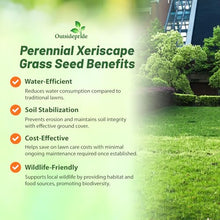 Outsidepride Xeriscape Native Prairie Grass Seed Mix – 25 lb. Perennial, Warm-Season, Cold & Drought-Tolerant, Fine Leaved, Dense Turf Grass Seeds for Lawn, Ground Cover & Arid Xeriscape Landscaping