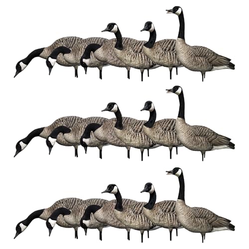 Avian-X AXP Honkers Fusion Pack Full Body Canada Goose Decoys Multicolor