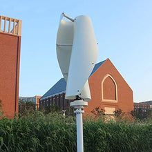 OLONETO Vertical Axis Magnetic Levitation Wind Power Generation 12V 24v 48v1000W Helical Wind Turbine Kit Portable Vertical Wind Turbine Kit with MPPT Charge Controller (Color : B, Size : 12v)