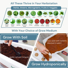 Altifarm Herbstation Indoor Garden Green Brown