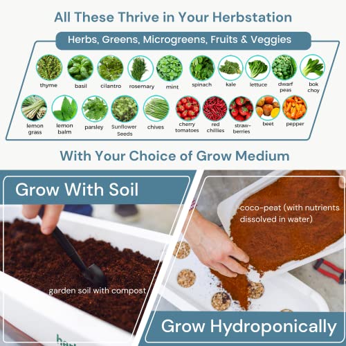 Altifarm Herbstation Indoor Garden Green Brown