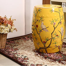 ECOLFE Garden Stool, Flower and Bird Ceramic Drum Stool，Garden Decorative Stool, Suitable for Garden, Patio, Lawn,Home Indoor & Outdoor