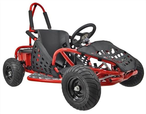 HHH Go-Bowen Baja 1000W Brushless Kids GoKart Black