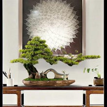 YXIANG56Q Fake Plants New Chinese Backflow Incense Burner Artificial Bonsai Tree Home Living Room Porch Office Decoration Bonsai Tree