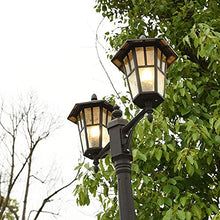 iumLeap 114Inch Outdoor Lamp Post Light Afence Bollard Path Lamp 2-Head Path Pillar Lamp Waterproof Ip65 Street Light Garden Exterior Pillar Post Light Glass Lantern Pole Lig(114inch)
