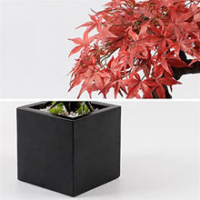 Artificial Bonsai Simulation Bonsai Tree Indoor Artificial Maple Leaf Bonsai Tree for Home Living Room Hotel Lobby Decoration Simulation Plant Bonsai Trees for Home Office