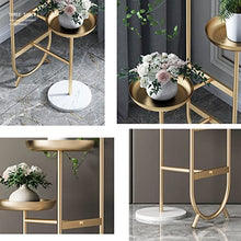 ZOCWJK Plant Stand Outdoor - Flower Stand Indoor - Plant Organizer Holder, 3-Tier Metal Flower Display Stand, Wrought Iron Corner Storage Rack, Easy to Install Flower Pot Organ,