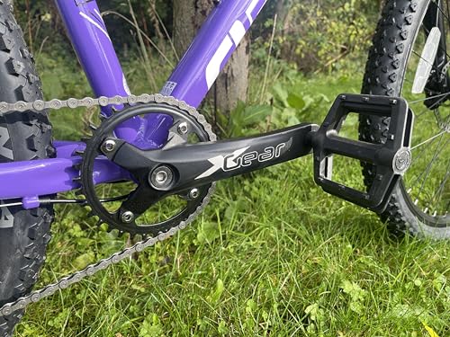 EB Eastern Bikes Ladies Alpaka Mountain Bike Purple