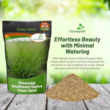 Outsidepride Southwest Native Grass Seed Mix 25 lbs Green