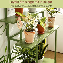 Hanging Plant Stand With Trellis & Hanging Bar Indoor Plant Display Shelf