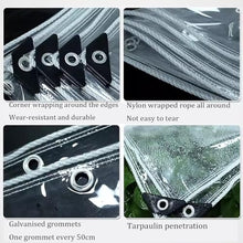 DAZULI Clear Waterproof PVC Plastic Tarp Plant Cover Transparent Tarpaulin with Eyelets Rainproof Tear Flower Plant Sheet Covers 400g/m²(Size:4x8m/13x26ft,Color:Clear)