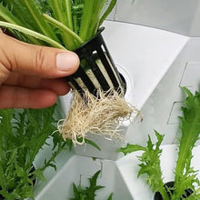 FLTRGO Hydroponics Tower, Indoor Garden Hydroponic Growing System, DIY Soilless Cultivation Garden Tower Aeroponics Growing Kit for Herbs, Fruits and Vegetables,48holes