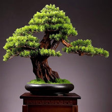 YXIANG56Q Fake Plants Living Room Simulation Plant Bonsai Indoor Greenery Potted Plants Large Fake Tree Desktop Landscape Decoration Ornaments Bonsai Tree