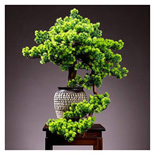 Large Living Room Simulation Welcoming Pine Bonsai Porch Plant Potted Indoor Desktop Green Plants Flower Ornaments Decoration Gifts House Plant (Color : O)