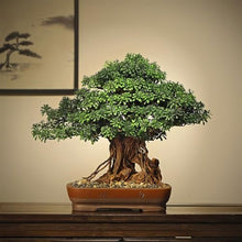 YXIANG56Q Fake Plants Simulation Bonsai Fake Green Plants Potted Hotel High-Grade Furnishings Office Study Chinese Decorative Ornaments Bonsai Tree