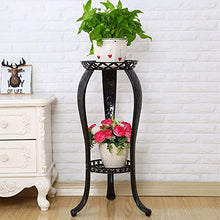 iumLeap Plant Stand 2 Tiers Flower Rack Garden Metal Plant Stand Holder Flower Pot Rack Display Shelf Indoor Outdoor Home Decoration