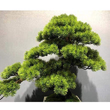 ntumLeap Faux Plants Simulation Welcome Pine Bonsai New Chinese Podocarpus Green Plants Landscaping Living Room Home Porch Decoration Decoration Gifts Artificial Potted Plants