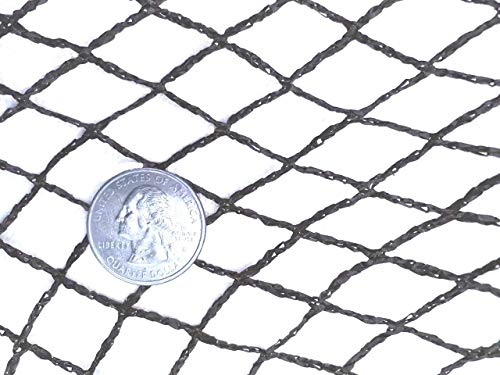 Green Vista 1/2 Inch Commercial Quality Bird Barrier Netting 30x100 Feet - Protects Vegetables, Fruit Trees, Berry Shrubs, Flowers - Small Mesh Size, Heavy Duty, UV Resistance, Steel Stakes