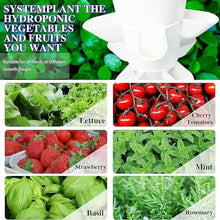 BTURYT Vertical Garden Hydroponics -15 Story Tower with Pump and Mobile Water Tank for Plant Sites - Valentine's Gift Plant Tower