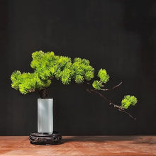 QWERAXZG Simulation Welcome Pine Bonsai Small Decoration Zen Office Desktop Green Plant