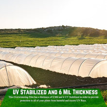 Farm Plastic Supply - String Reinforced 6 Mil White Plastic Sheeting - Overwintering Film, 6 Mil White Plastic Film, Greenhouse Plastic, Overwintering Plastic, Durable Plastic Sheeting (20' x 125')