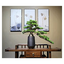 Fake Plants 23 Inch Tall Artificial Pine Bonsai Ornament, Simulation Welcoming Pine, Faux Tree for in The Wine Cabinet and Tea Room（with Cleaning Brush） Bonsai Tree