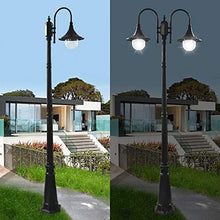 Lights Outdoor Black High Pole Street Light E27 Super Bright Outdoor Lighting Landscape Post Lamp Professional IP65 Waterproof Aluminum Alloy Street Lamp with Acrylic Lampshade Stadium (Color : 2-Ligh