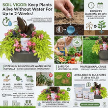Soil Vigor Keep Plants Alive Without Water for Up to 2-Weeks - Super Absorbent Polymer Crystals - Potassium Polyacrylate for Lawns & Gardens - Reduces Watering 50% - Safe for Edibles (45 Pounds)