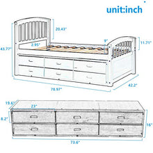Bellemave Twin Captain's Bed Walnut +6 Drawers