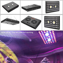 JINHH LED Grow Light 1200W Full Spectrum IR COB Reflector Series Plant Lamp with Daisy Chain for Hydroponic Greenhouse Indoor Plant Veg and Flower …