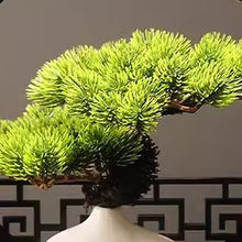 AOKLEY Artificial Bonsai Welcome Pine Tree Bonsai Simulation Pine Bonsai Decoration Zen Living Room Decoration Gateway Cabinet Office for Home Office