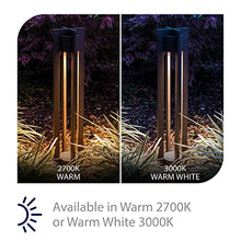 WAC Landscape Lighting, Chamber LED 120V Line Voltage Bollard Light 3000K Warm White Built-in LED in Black