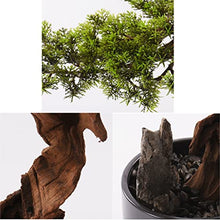 YXIANG56Q Fake Plants Bonsai Pine Tree Artificial Bonsai Tree Fake Plant Decoration Potted Tree Faux Bonsai in Ceramic Potted House Plants for Home Office Desktop Decor Bonsai Tree