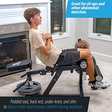 ANYTHING SPORTS Heavy Duty Adjustable Leg Extension and Curl Machine 2.0 Black