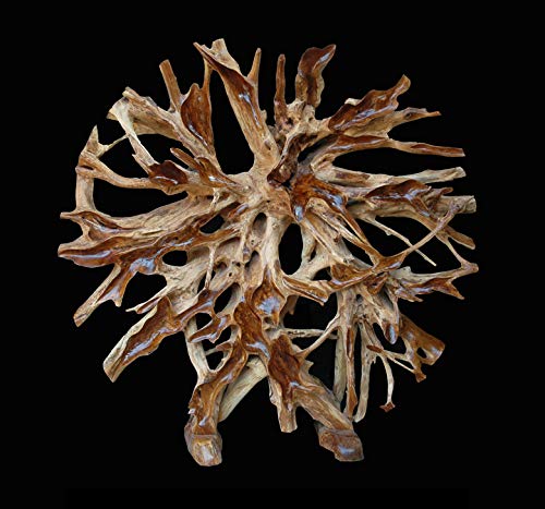AFD Home 12005392 Teak Root Architectural Piece with Stand