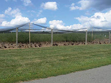 Stromberg's 1" Knotted Game Bird Netting Black - Heavy Duty, UV-Resistant, 85 lb Break Strength, 50' x 100'