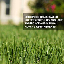 Hancock's Centipede Grass Seed - Coated - 25 lbs.